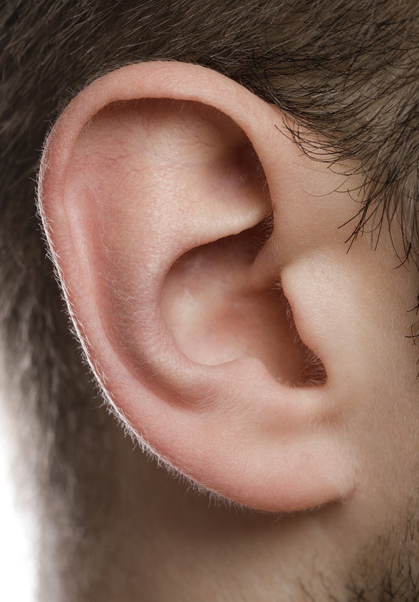 Gros plan d'une oreille d'homme